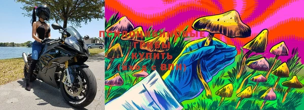 гашишное масло Лихославль